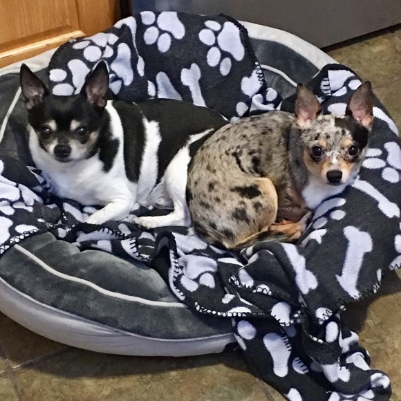 Meet your Posher, Ashley - Picture 6 of 6